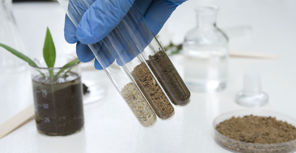 Technicien de laboratoire géotechnique examinant des échantillons de sol stratifiés dans des cylindres transparents sur un plan de travail technique, avec équipement de mesure et notes d'analyse
